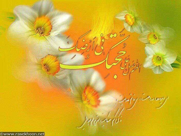 ولادت امام زمان